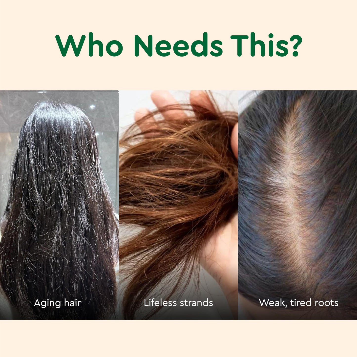 Seashell VIETNAM Hair Growth Shampoo for Thinning Hair with Polygonum Multiflorum, 2 in 1 Shampoo & Conditioner, Strengthens Weak Roots, Fuller Thicker Look, Mothers Day Gifts for Mom (14.8 oz)