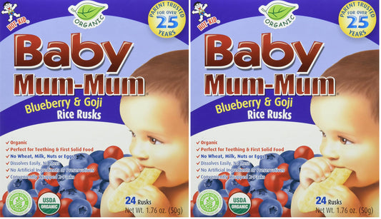 Slate Gray Hot-Kid Baby Mum-Mum Rice Rusks, Blueberry & Goji, 1.76 Ounce (Pack of 2)