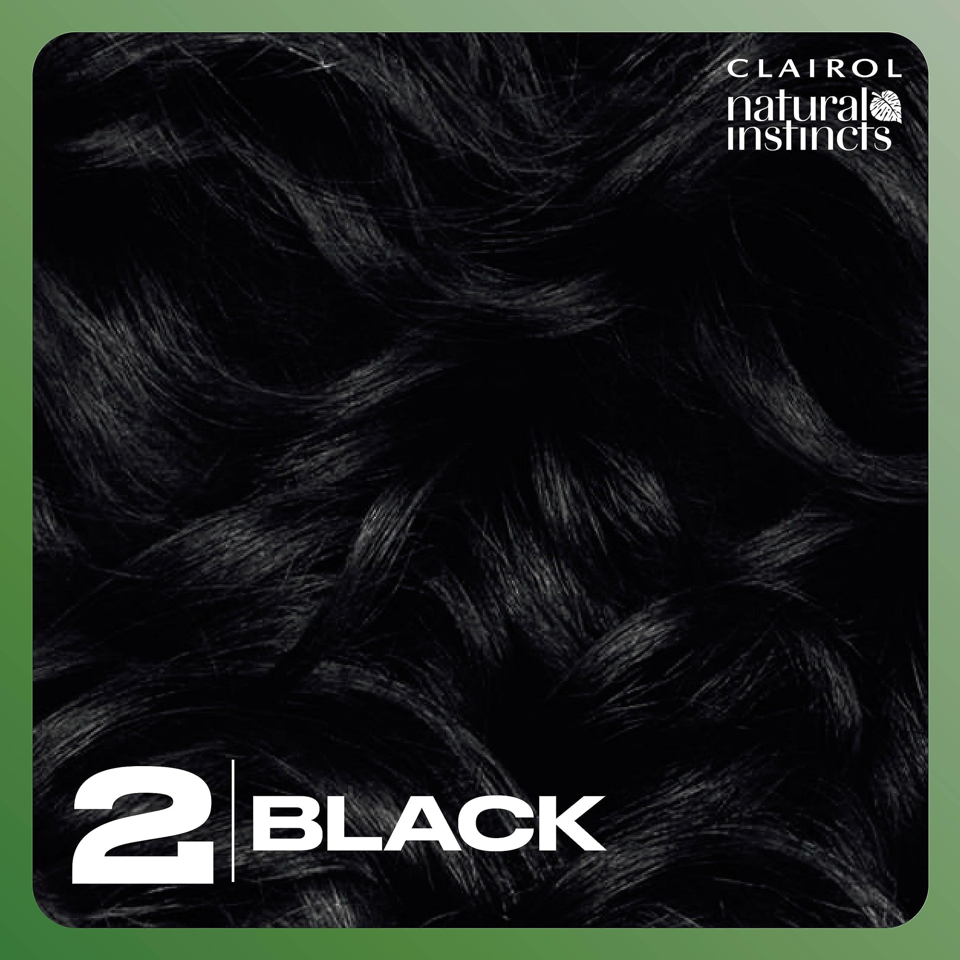 Black Clairol Natural Instincts Demi-Permanent Hair Dye, 2 Black Hair Color, Pack of 1