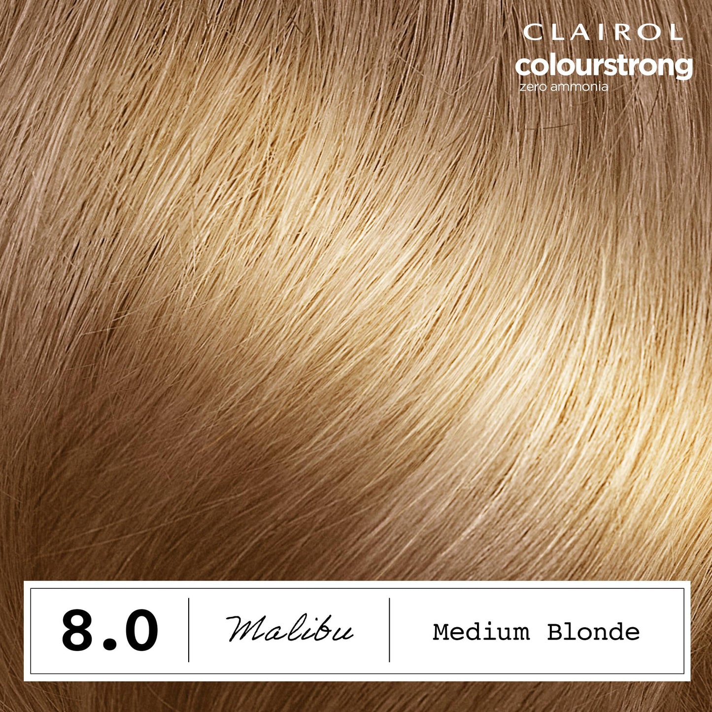 Dim Gray Clairol ColorStrong Permanent Hair Dye, Ammonia‑Free, PPD‑Free, 100% Gray Coverage with Bonding System, 8.0 Medium Blonde - Malibu Hair Color, Pack of 1