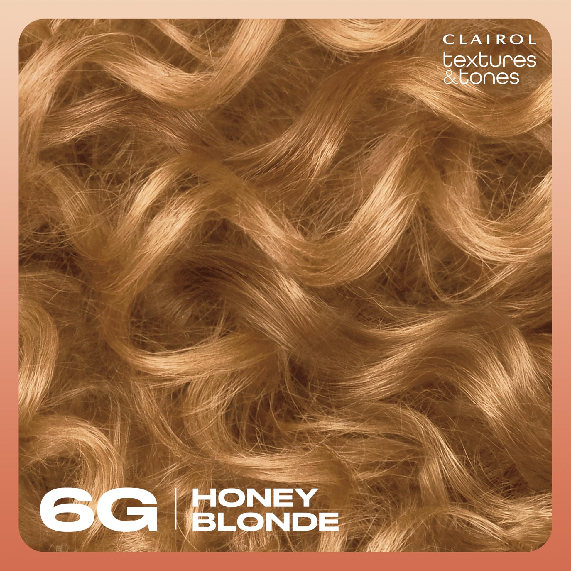Sienna Clairol Textures & Tones Permanent Hair Dye, 6G Honey Blonde Hair Color| Ammonia Free | Moisture-Rich Formula with Argan, and Olive Oil for Brilliant Shine | Pack of 1