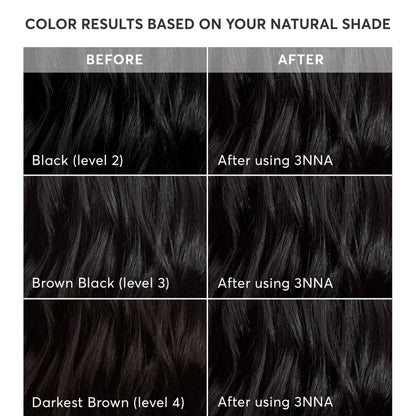 Black Madison Reed Radiant Hair Color Kit - 3NNA Cool Black-Brown with Ash Undertones (Positano Black), Dimensional Gray Hair Blending Permanent Hair Dye, PPD-Free & Ammonia-Free, 1 Pack