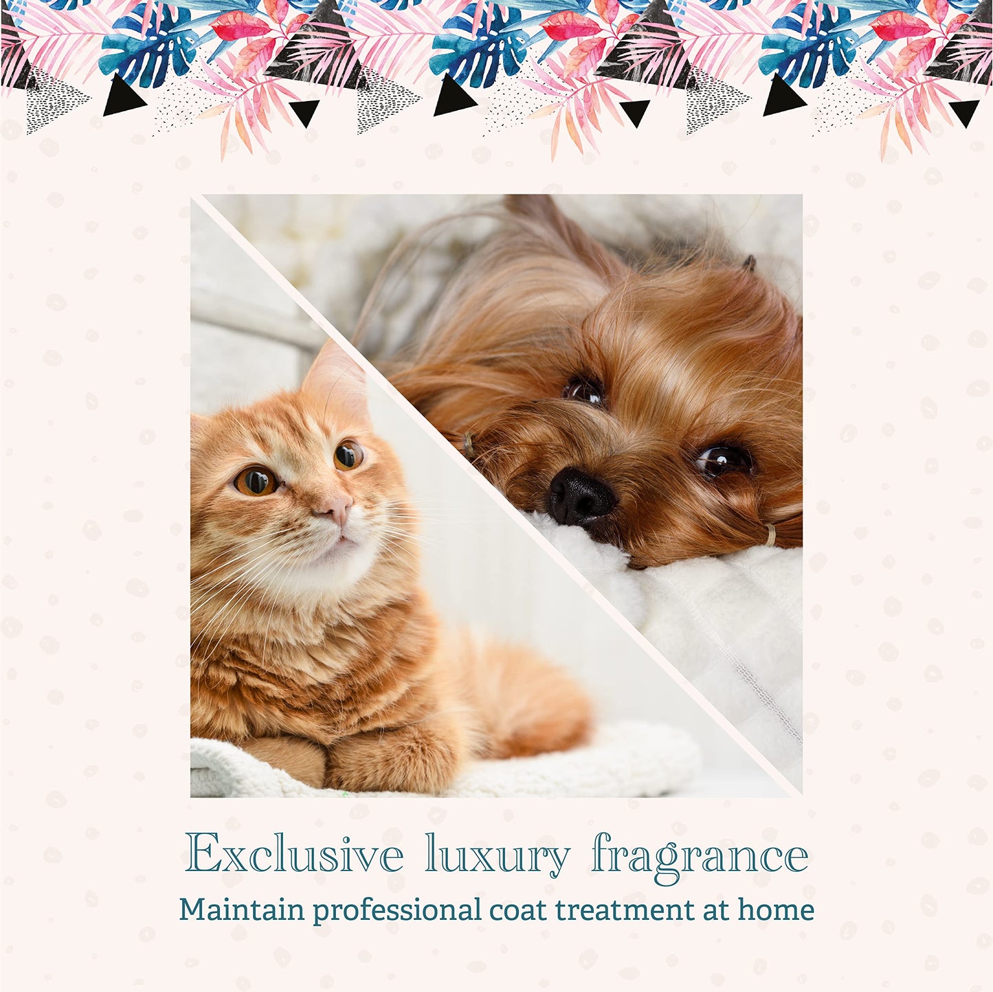 White Smoke Hydra Senses Forever Care Cologne, Finishing Cologne for Dogs and Cats, Pet Grooming Spray, 4.05 Ounces