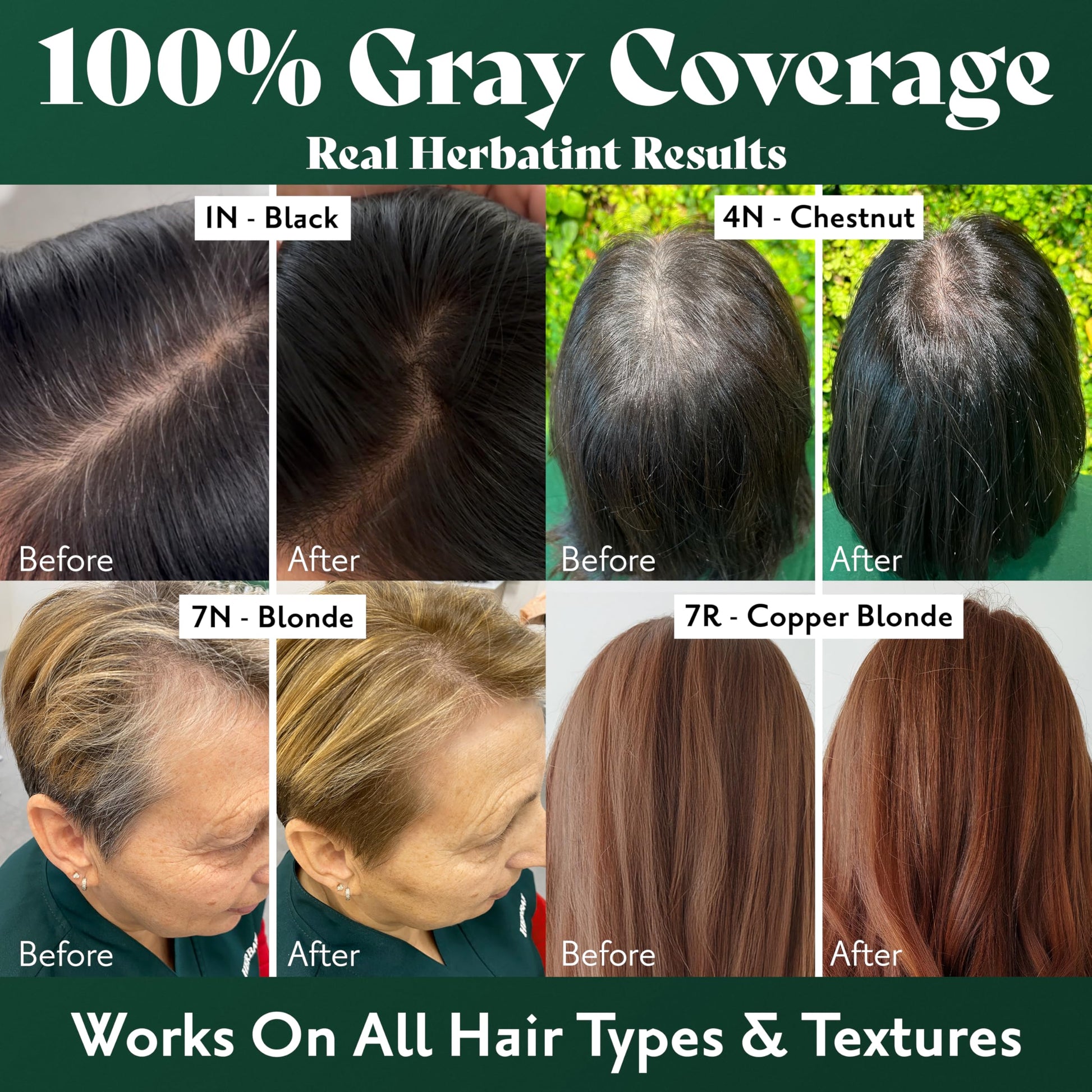 Black Herbatint Permanent Hair Dye For Women - 4N Chestnut - For Up To 100% Gray Coverage of Resistant Gray Hair - Ammonia-Free, Alcohol-Free & Vegan - Salon Influenced Hair color 5.75 fl oz