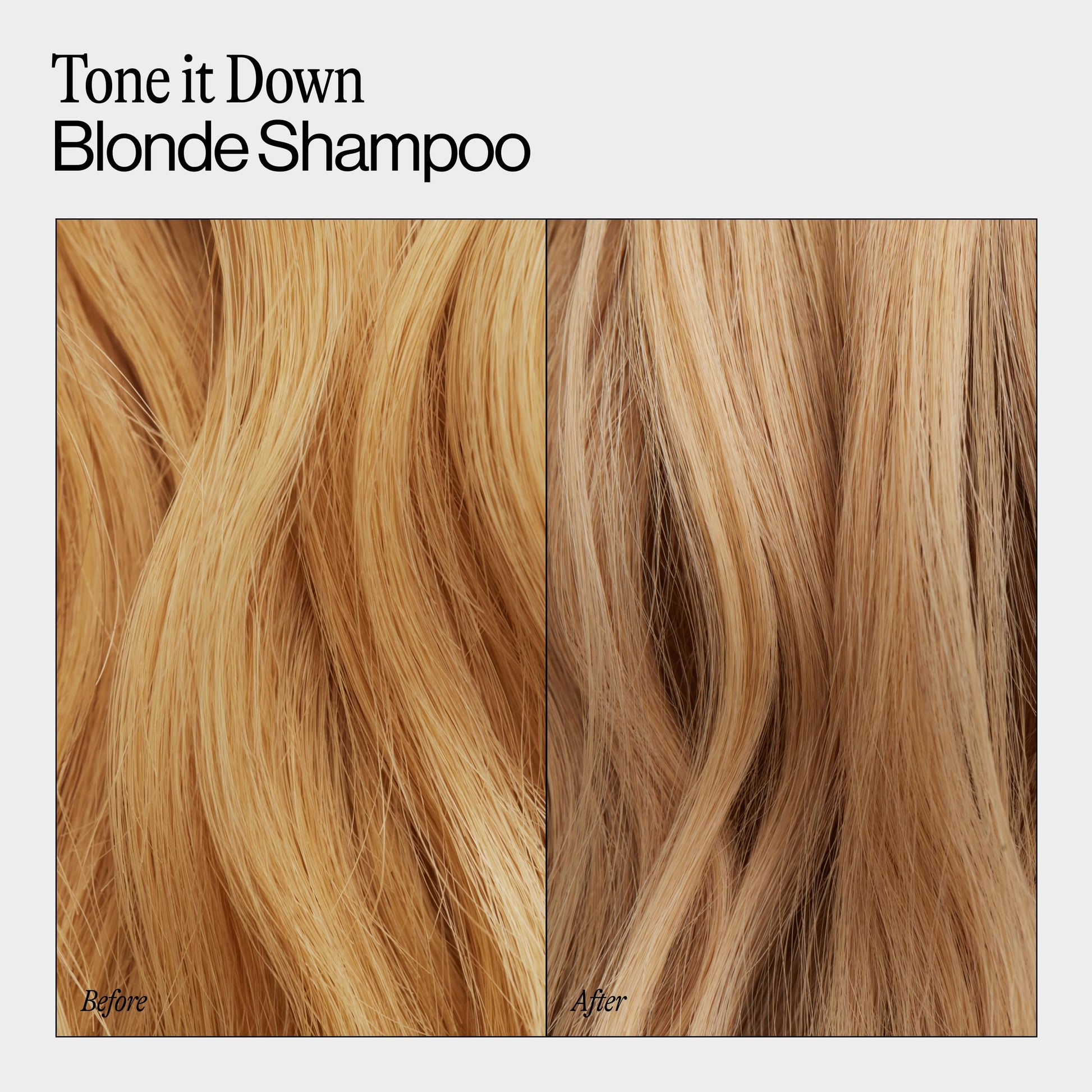 Lavender Eva NYC Purple Shampoo for Toning Blonde Hair - Gentle Formula for Blonde, Gray + Lightened Hair - Adds Shine + Softens - Anti-Brass Formula for Salon Fresh Results - Ginger Rose Scent - 10 fl oz