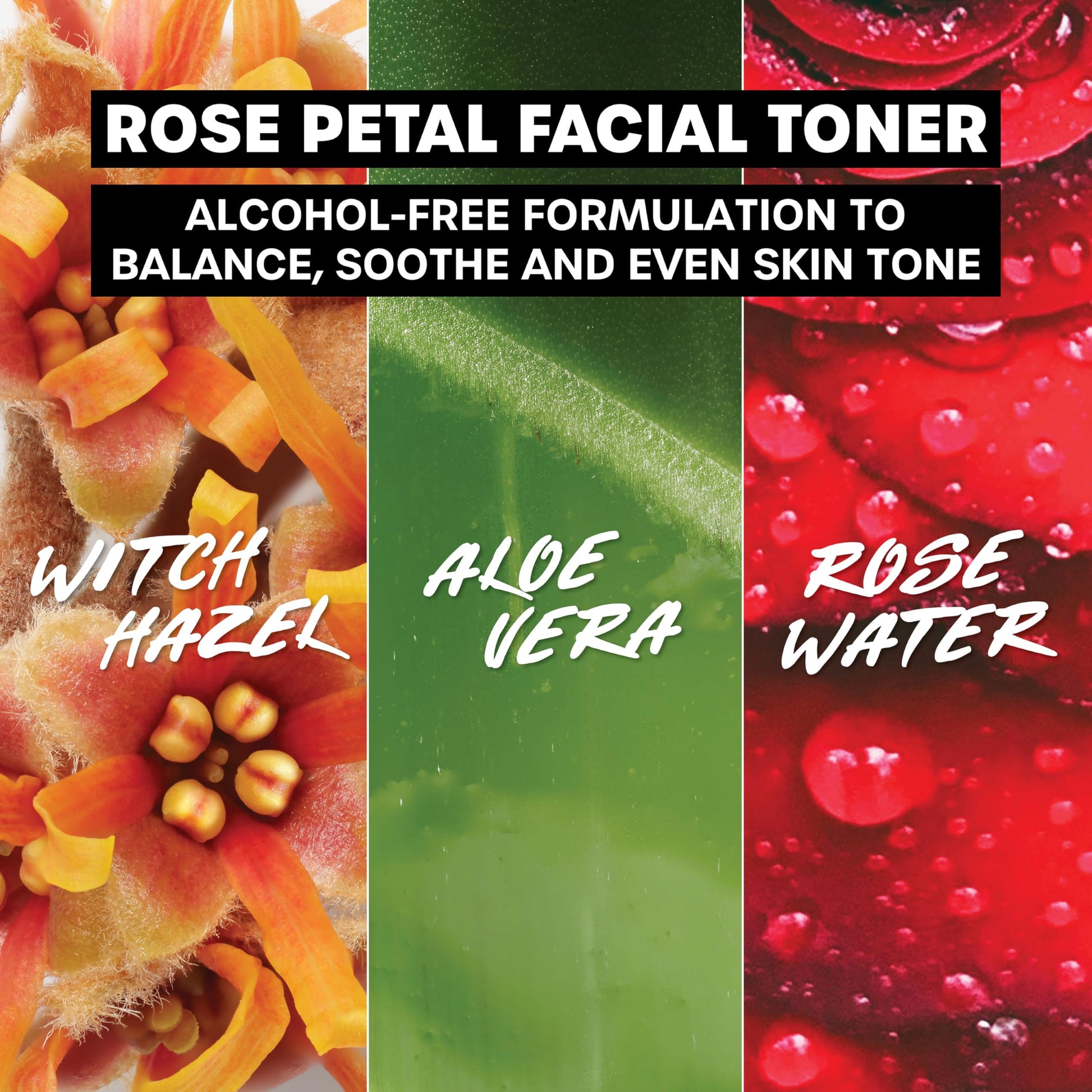 Olive Drab Thayers Purify & Hydrate Skin Care Set, Includes Rose Petal Facial Toner to Reduce Pores and Hydrating Milky Toner for 48H Hydration, 1 Skin Care Kit