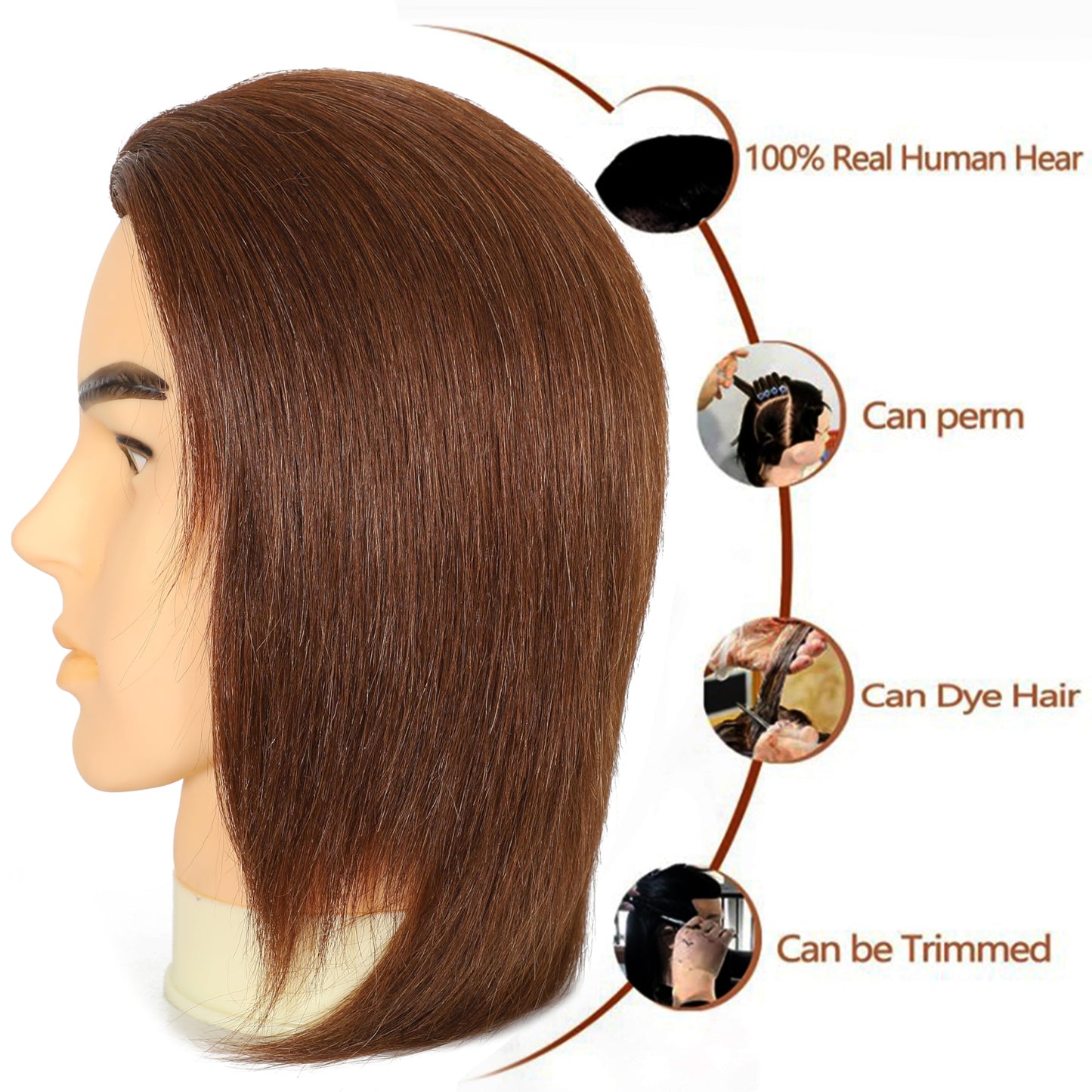 White Smoke simnient Male mannequin Head 12" Barber Training Head with 100% Real Human Hair,Hairdresser training Doll manikin Head for Practicing Haircut Hair Styling With Clamp Stand