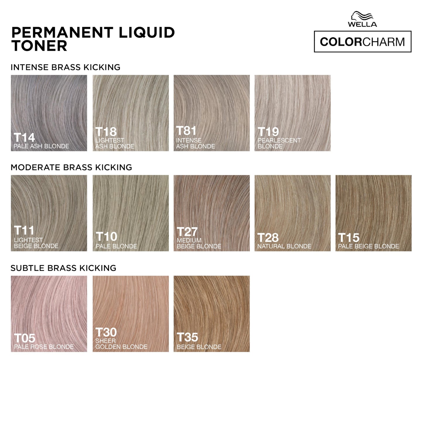 White Smoke COLORCHARM Permanent Liquid Toners | Neutralize Brass | Free of Parabens | Vegan | T10 Pale Blonde | 1.4 Fl Oz