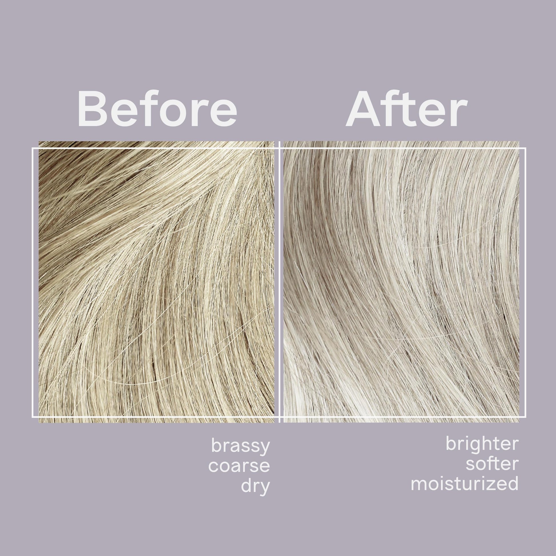 Dark Gray Jhirmack Silver Brightening Purple Shampoo and Conditioner Set for all types of silver, grey, and blonde hair