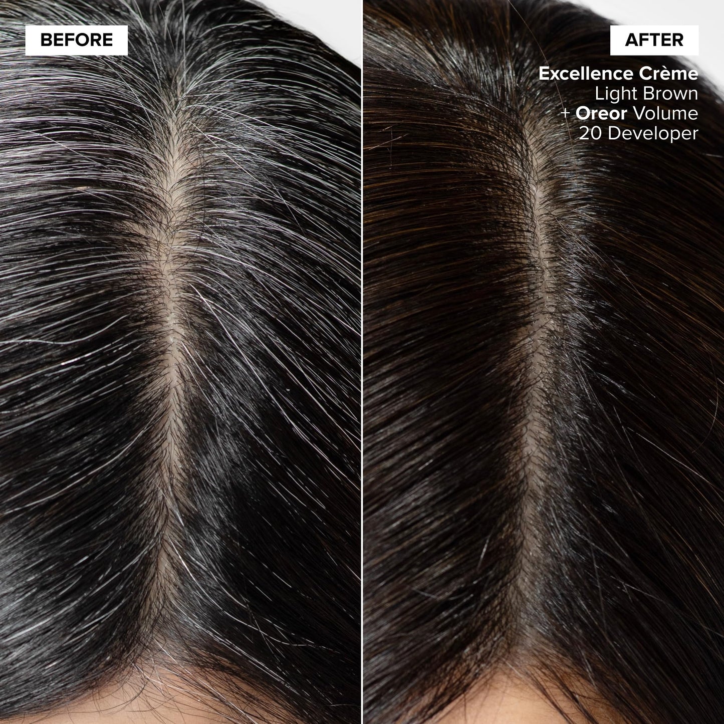 Black L'Oréal Technique Excellence Crème Permanent Hair Color - Long-Lasting Hair Dye, Rich Formula With No-Drip Application, Superb Gray Coverage, Lghtst Nat Blonde