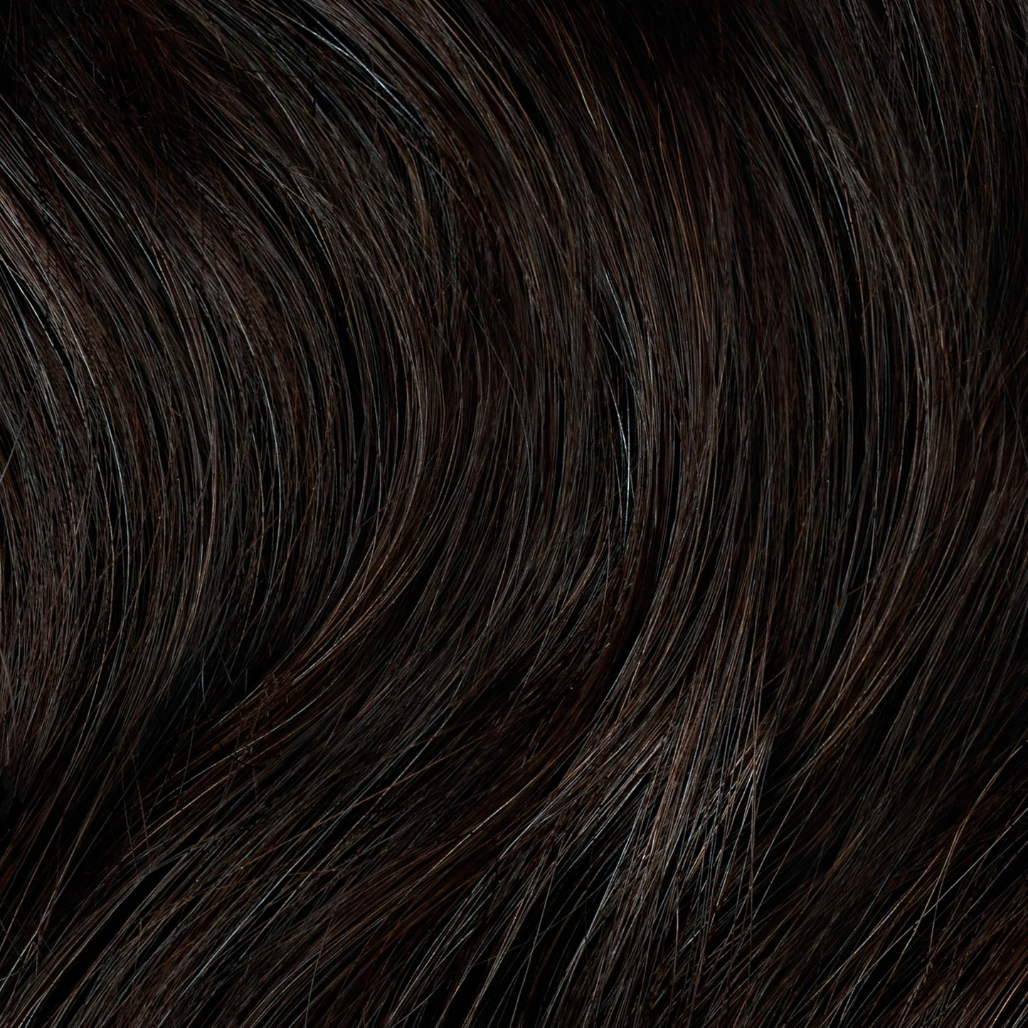 Black Clairol Professional Permanent Liquicolor, 3GN Medium Gold Neutral Brown, 2 Fl Oz - Packaging May Vary