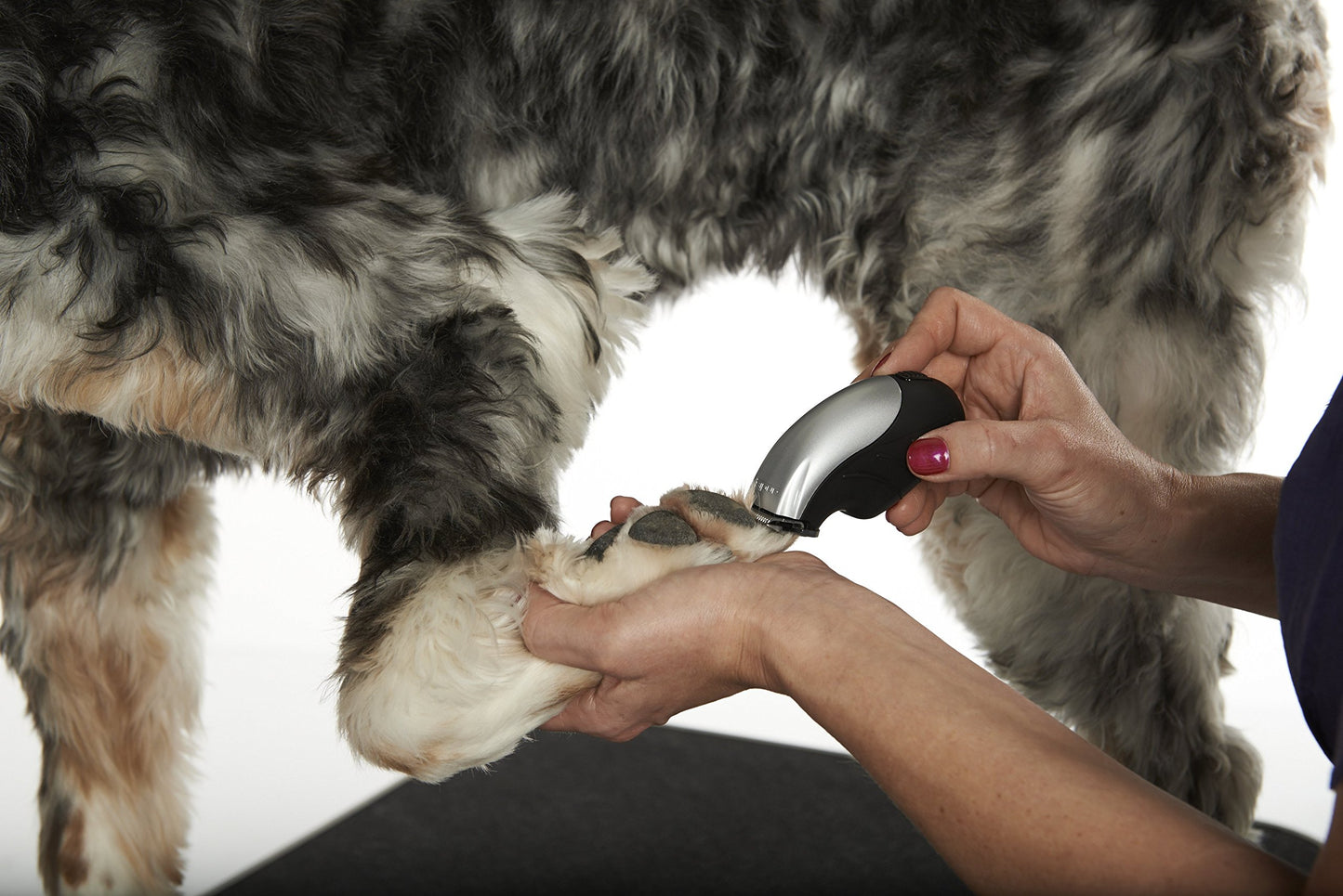 Dark Slate Gray Andis 24865 Cordless Trim 'N Go 7-Piece Portable Trimmer - Animal/Dog Grooming, Silver