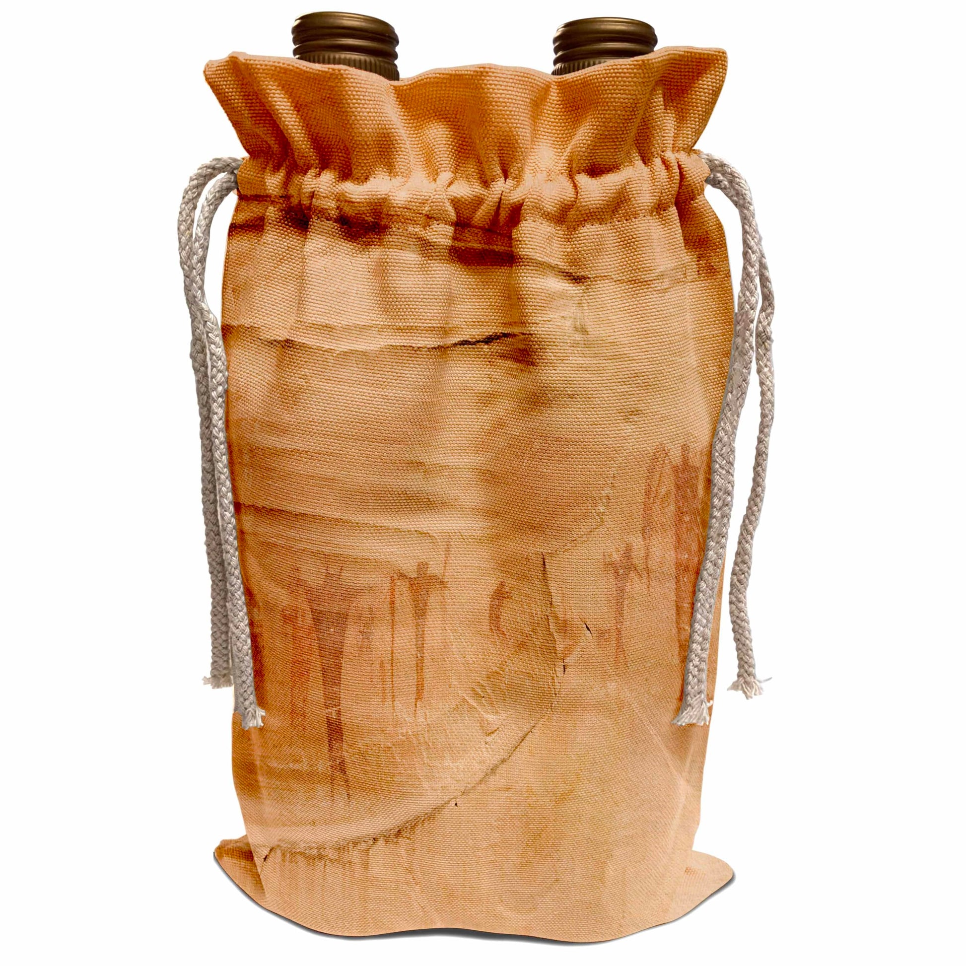 White Smoke 3dRose UT, Buckhorn Wash, pictographs, Alcove Paintings - US45 BJA0071 - Jaynes Gallery Wine Bag
