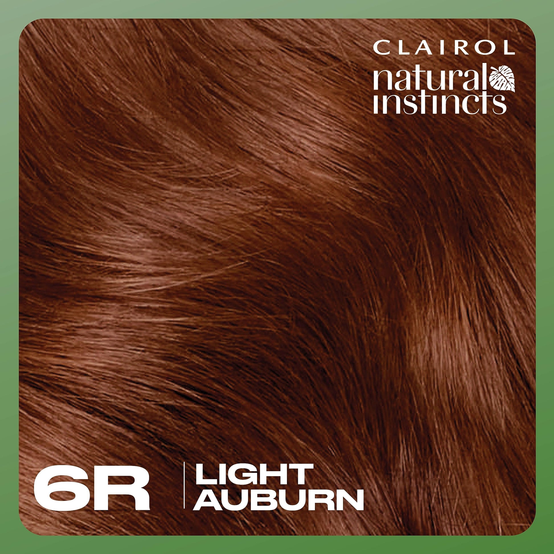 Black Clairol Natural Instincts Demi-Permanent Hair Dye, 6R Light Auburn Hair Color, Pack of 1