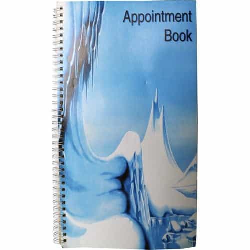 Sky Blue Economy 100-Page Appointment Book 3-Column AB123