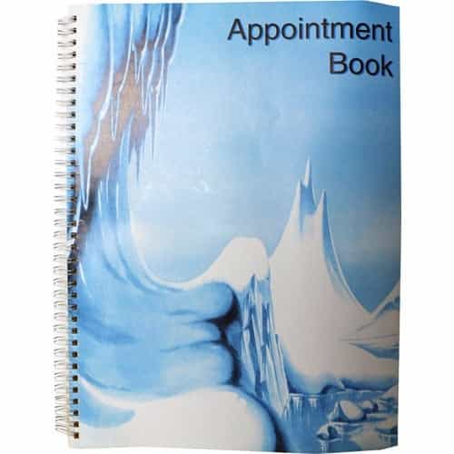 Sky Blue Economy 100-Page Appointment Book 4-Column AB124