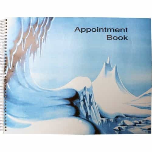 Sky Blue Economy 100-Page Appointment Book 8-Column AB128