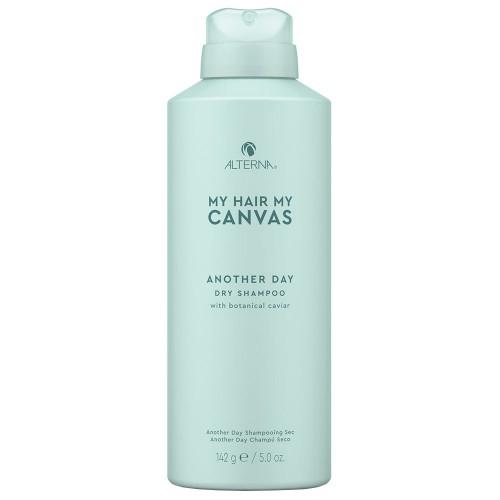 Light Blue Alterna My Hair My Canvas Another Day Dry Shampoo 5oz