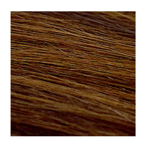 Saddle Brown Aqua Tape-In Extensions #1B/4 Duotone 10pc 18"