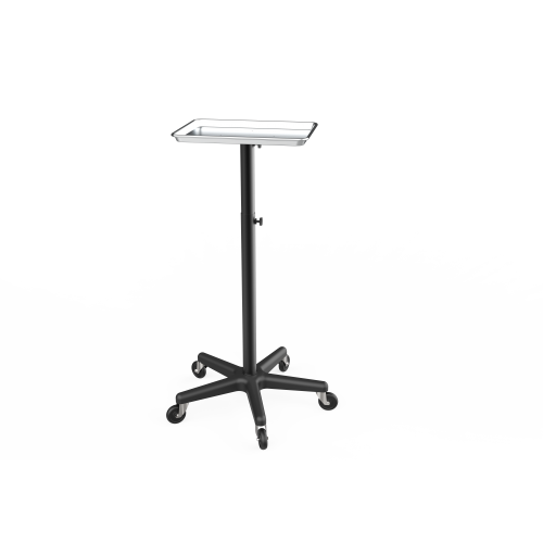 Black ALLURE ALUMINUM COLOR TRAY T-011