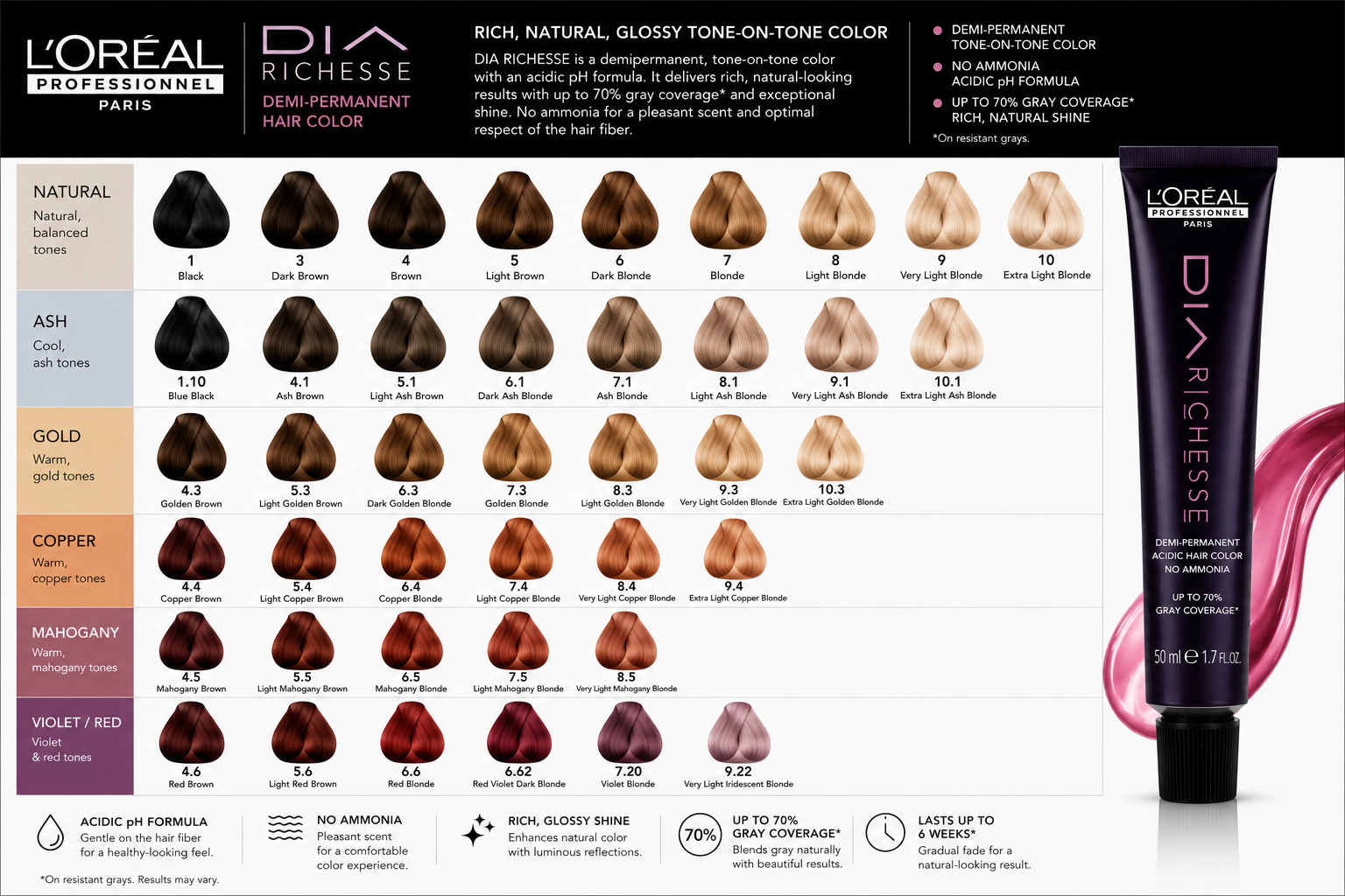 White Smoke L'Oreal Professionnel DIA Richesse