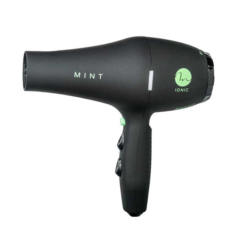 White Smoke Mint  Black Bird Ionic Dryer w/diffuser