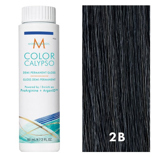White Smoke Moroccanoil Color Calypso 2B/2.1 Ash Black 2oz
