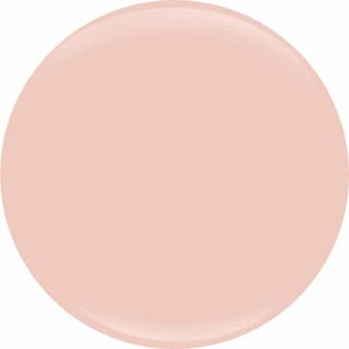 Wheat Entity D&B Color Powder 0.8 oz - Silk Teddy