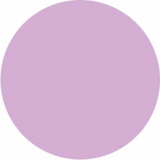 Plum Nobility Nail Lacquer 0.5 fl oz - Orchid