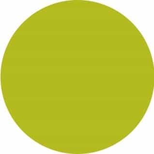 Goldenrod Nobility Nail Lacquer 0.5 fl oz - Sweet Kiwi