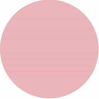Light Pink Nobility Nail Lacquer 0.5 fl oz - Nude