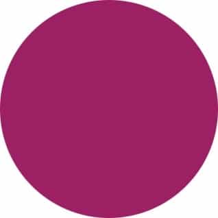 Maroon Nobility Nail Lacquer 0.5 fl oz - Berry Nice
