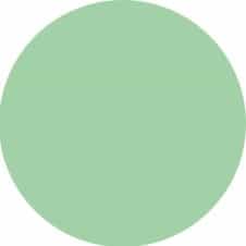 Dark Gray Nobility Nail Lacquer 0.5 fl oz - Pistachio