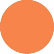 Coral Nobility Nail Lacquer 0.5 fl oz/15ml - Creamsicle
