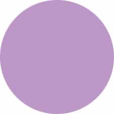 Dark Gray Nobility Nail Lacquer 0.5 fl oz - Sugar Plum (Cream) NBNL126