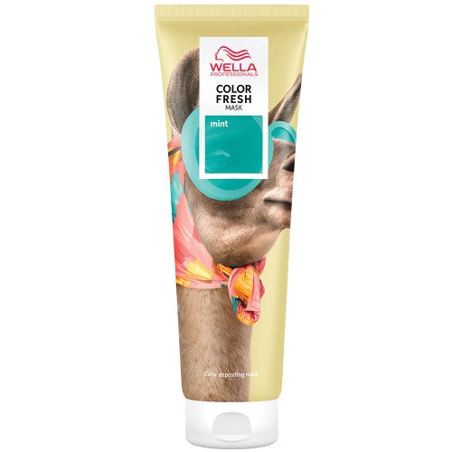 White Smoke Wella Color Fresh Mask Mint 5oz